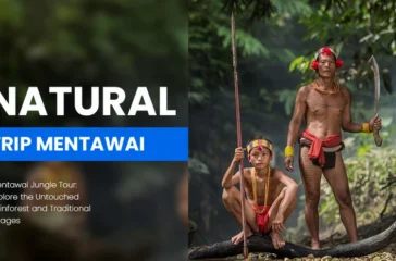Mentawai Jungle Tour Explore the Untouched Rainforest and Traditional Villages