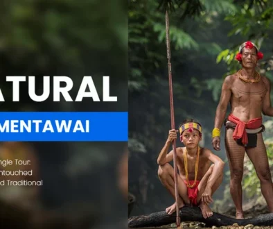 Mentawai Jungle Tour Explore the Untouched Rainforest and Traditional Villages