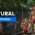Mentawai Jungle Tour Explore the Untouched Rainforest and Traditional Villages