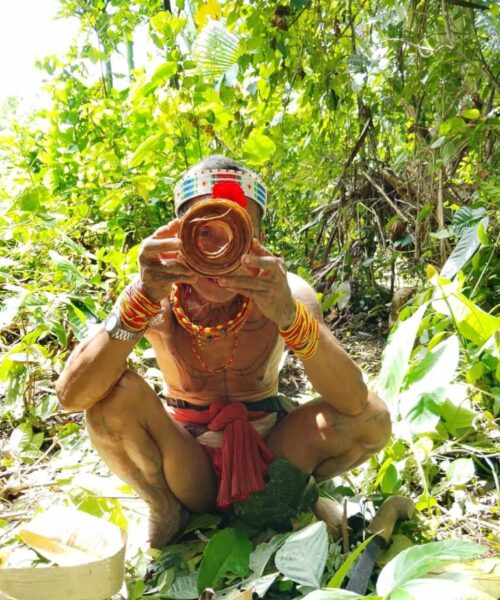 gallery - natural trip mentawai (14) gallery - natural trip mentawai (14)